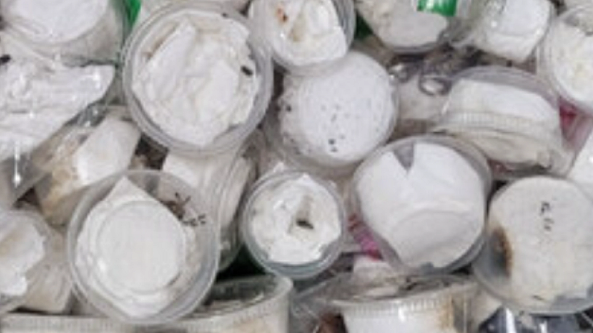 Tollvesenet gjør et overraskende funn i en koffert: Ønsket å smugle inn i landet