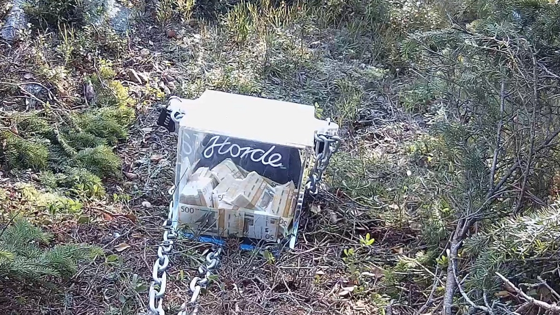 Breaking: Fant en million kroner gjemt i skogen