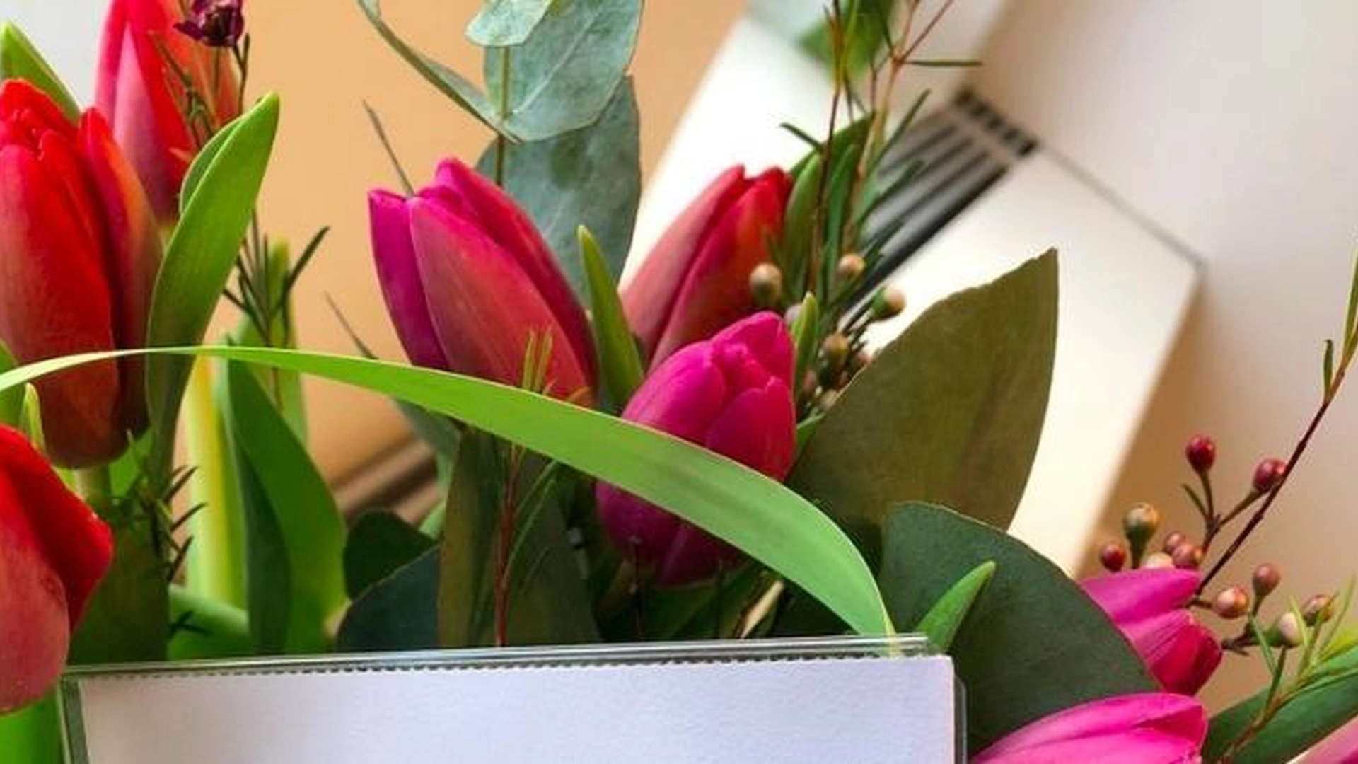 Hageekspert advarer: Unngå disse blomstene til Valentinsdagen hvis du har barn eller kjæledyr