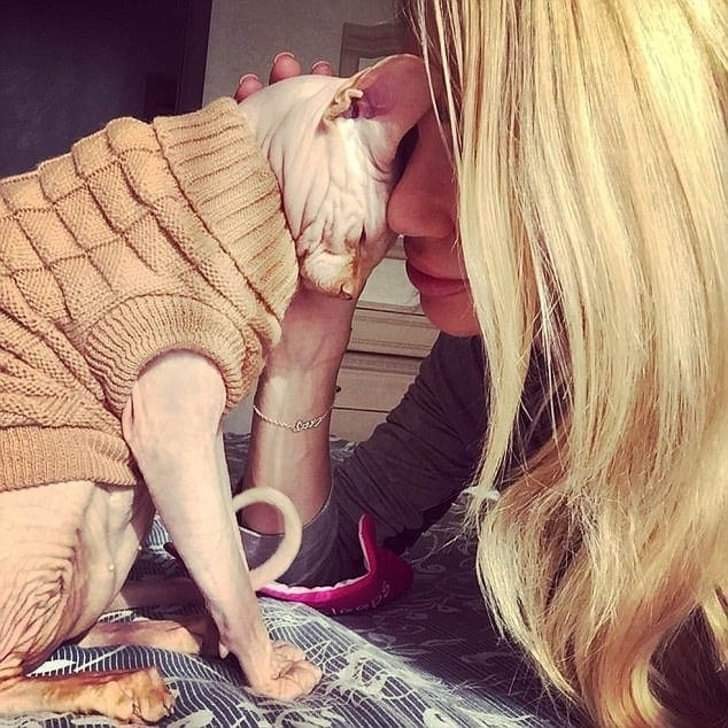 Kvinne ga katten hennes en tatovering – nå kokker nettet