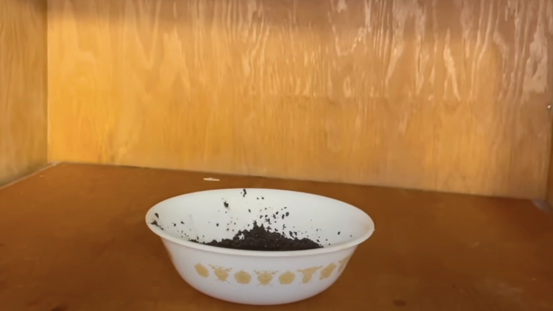 Han plasserer en bolle med kaffegrut i skapet: Du vil ikke tro dine ører når du hører om effekten
