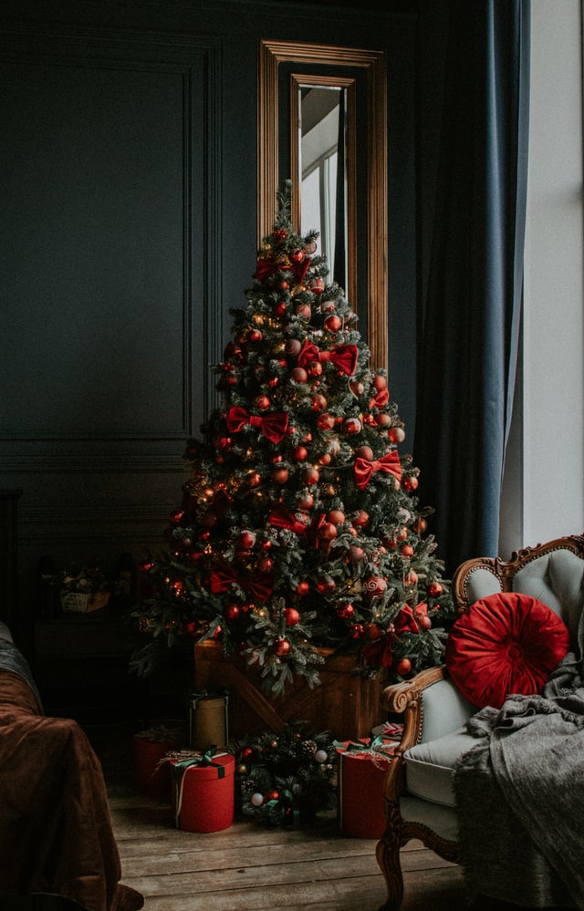 Familien fikk et stort sjokk: Den dukket plutselig opp under juletreet