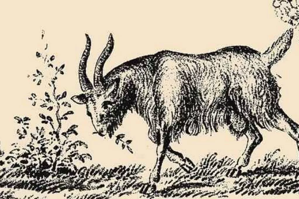 Hjernetrim: Ser du hva som skjuler seg rett foran nesen din?