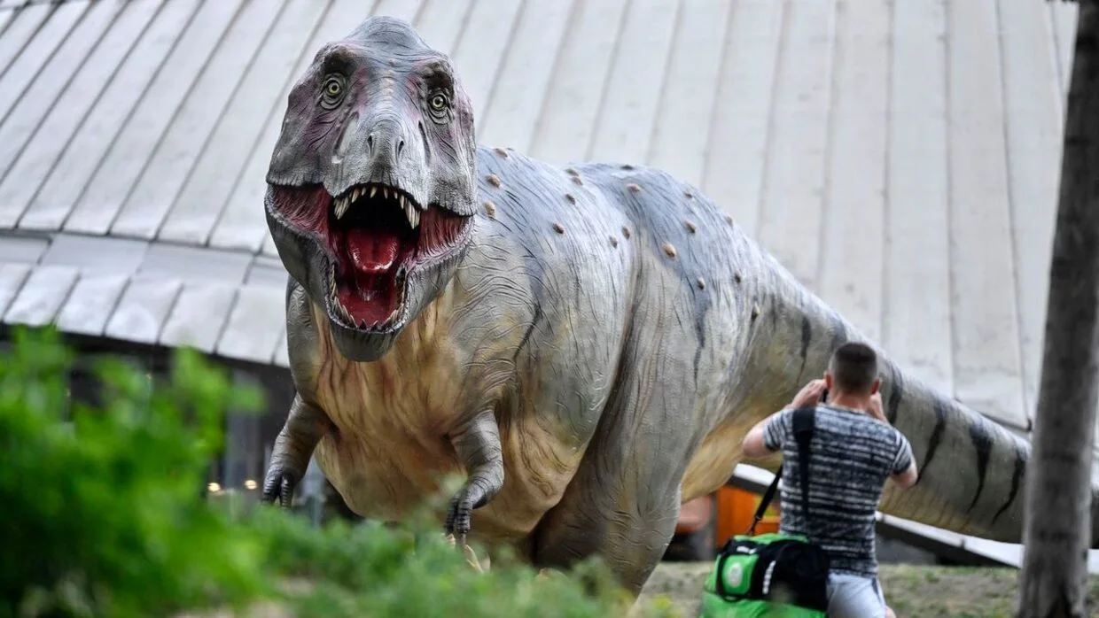 Ny oppdagelse: Tyrannosaurus Rex hadde en &laquo;lillebror&raquo;