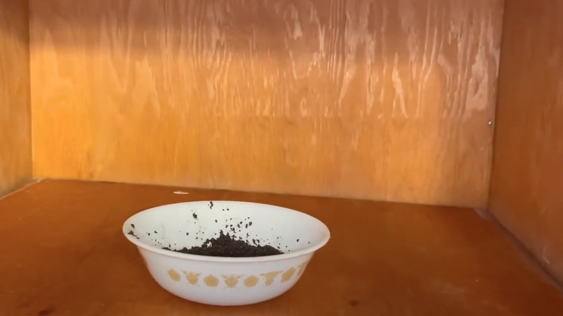 Han plasserer kaffegrut i skapet: Den utrolige effekten overrasker alle