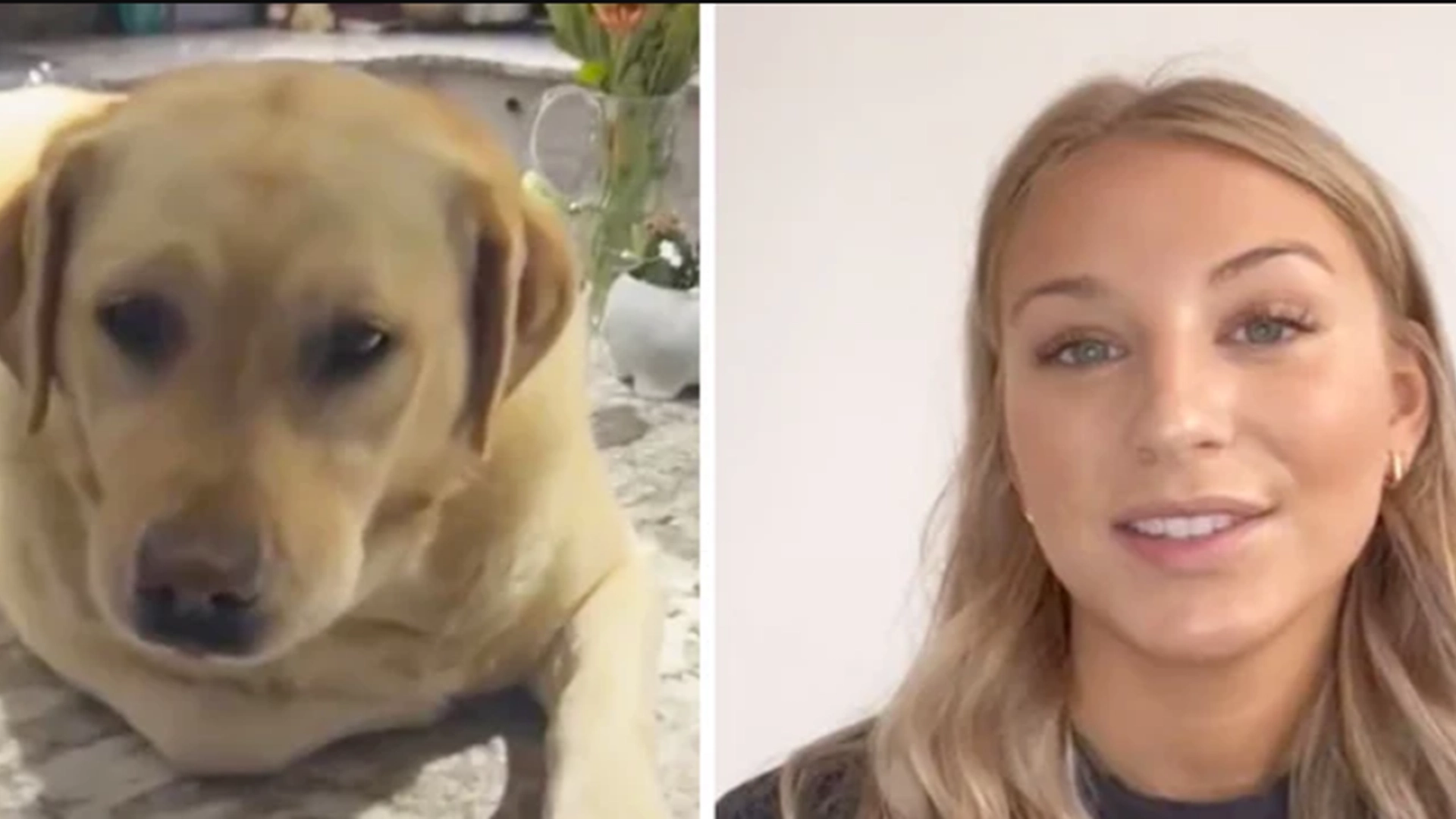 Kvinne hørte et smell fra kjøkkenet: Når hun ser hva hunden gjør, får hun sjokk