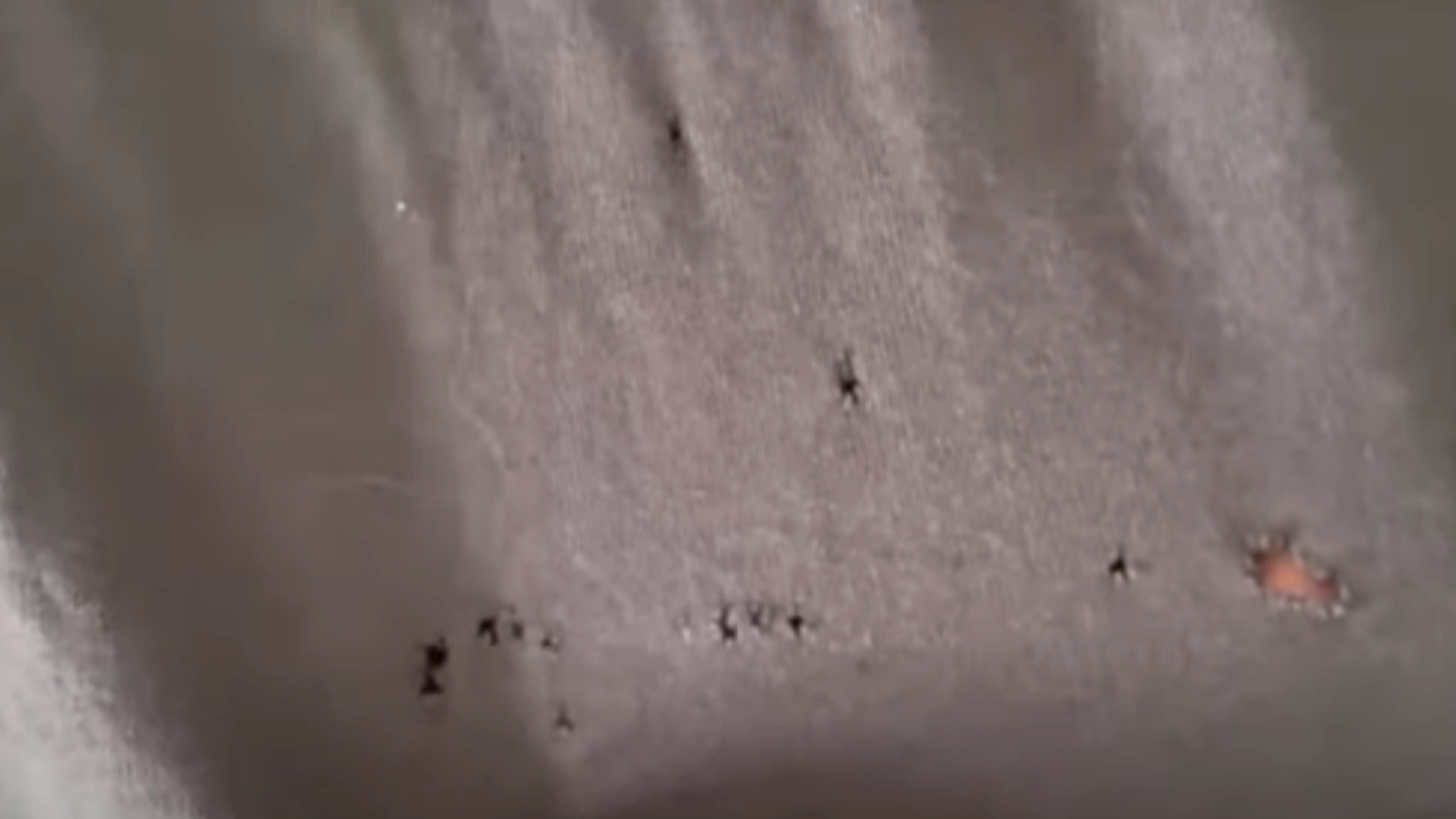 Dette er grunnen til at t-skjortene dine får små hull – og hvordan du enkelt løser problemet