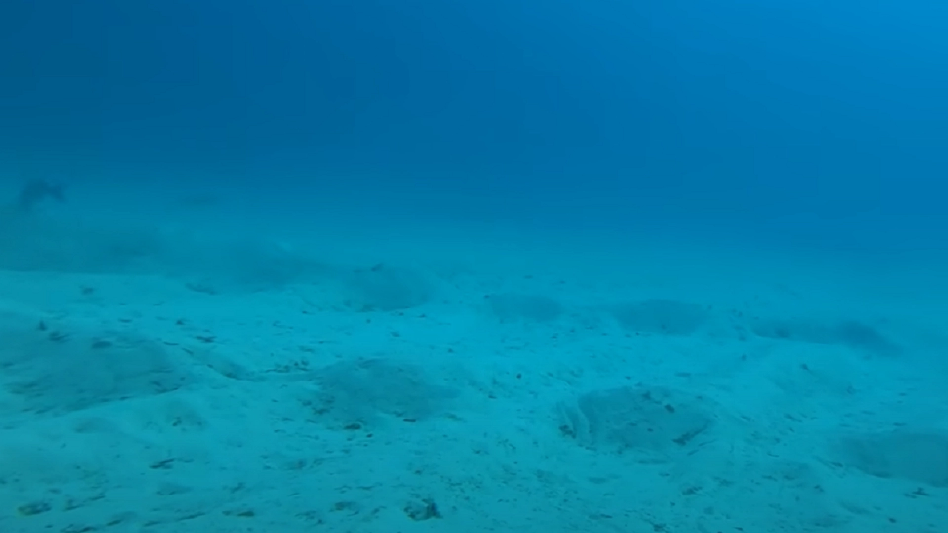 Mann kaster GoPro-kamera av skipet: Det den fanger skremmer folk ut av havet