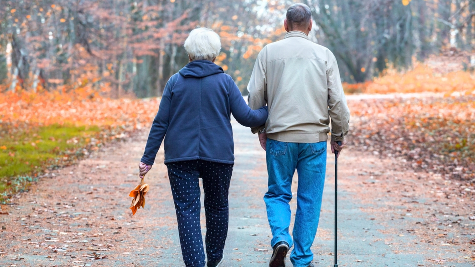 Verken gåturer eller barnepass: Her er den beste hobbyen for personer over 65