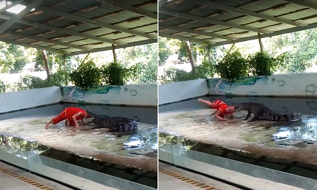 Krokodille lukker kjeven om manns hode under show i Thailand