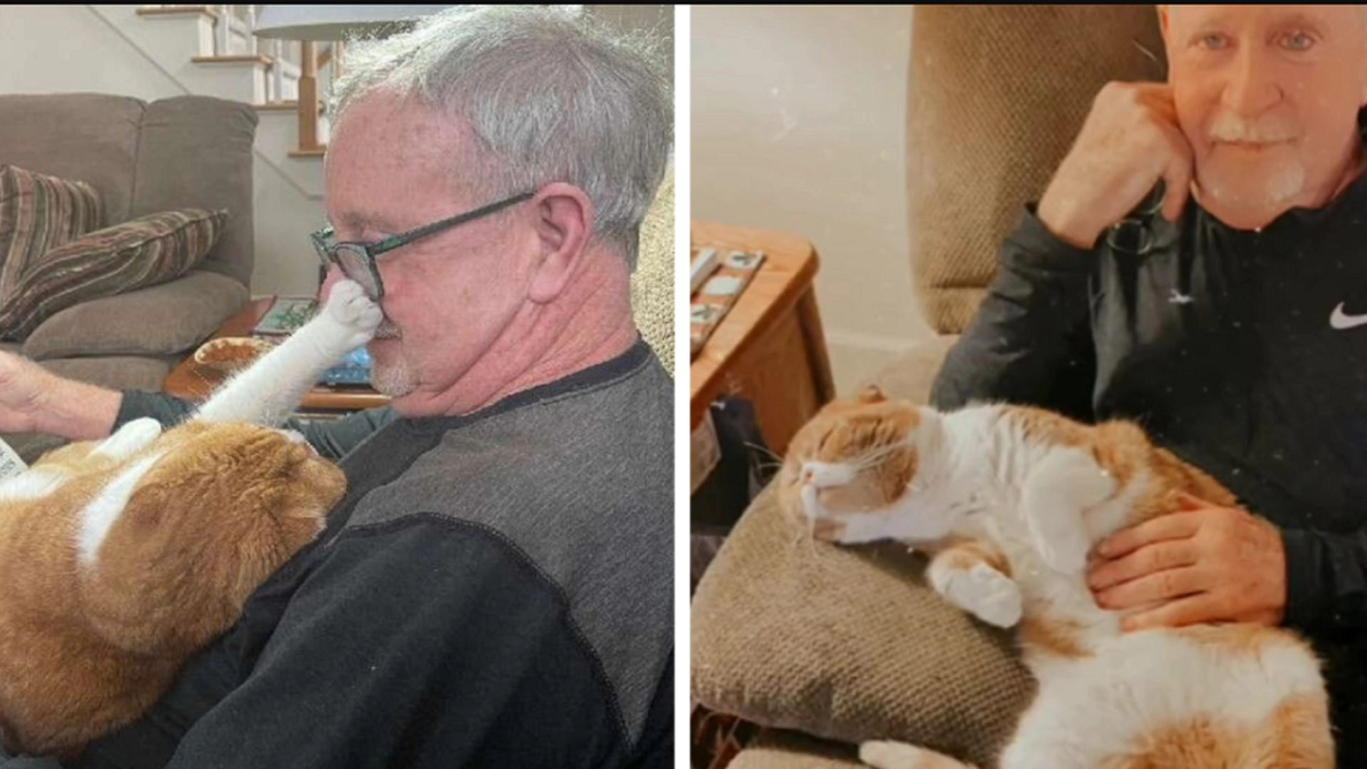 Mann får kreft: Du vil aldri gjette hva katten hans gjør