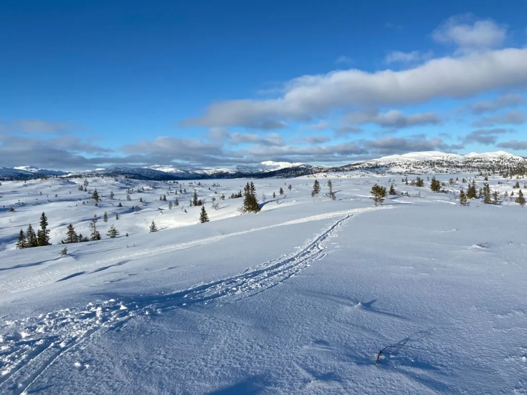 65 cm snø og skiløyper: Her er det snøparadis
