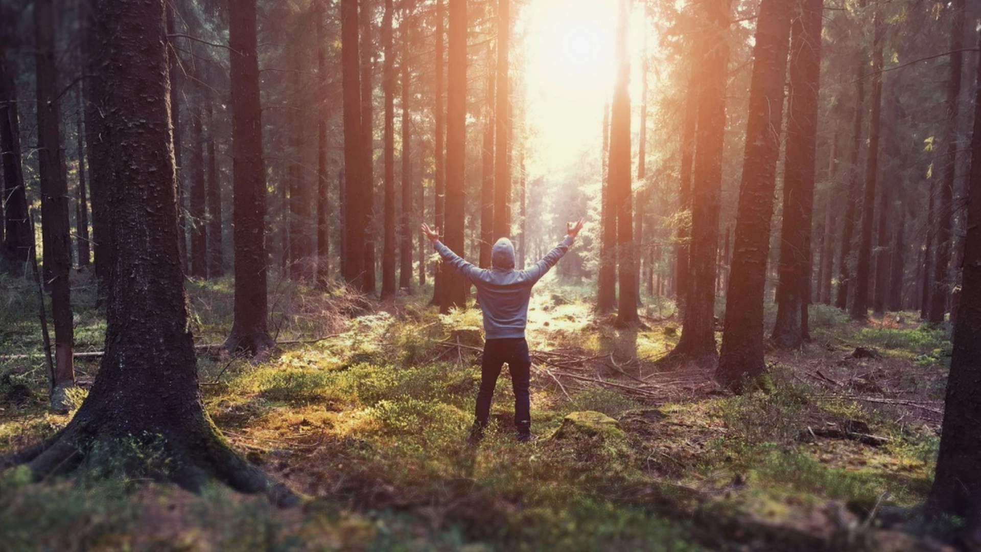 Er du klar over dette: 8 fordeler med å være introvert
