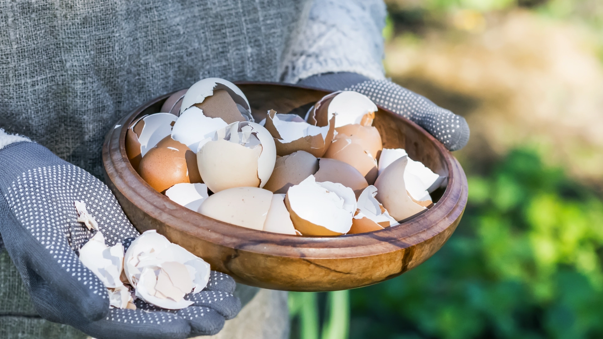 Slik har du aldri brukt eggeskallene dine: Når du først har sett hvordan, vil du aldri kaste dem igjen