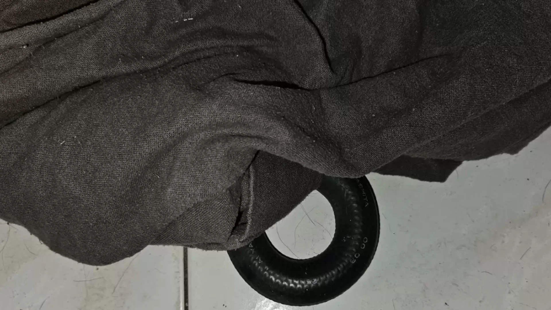 Familien så dette i hjemmet sitt: Når slangeeksperten «fanger» den, blir de flau