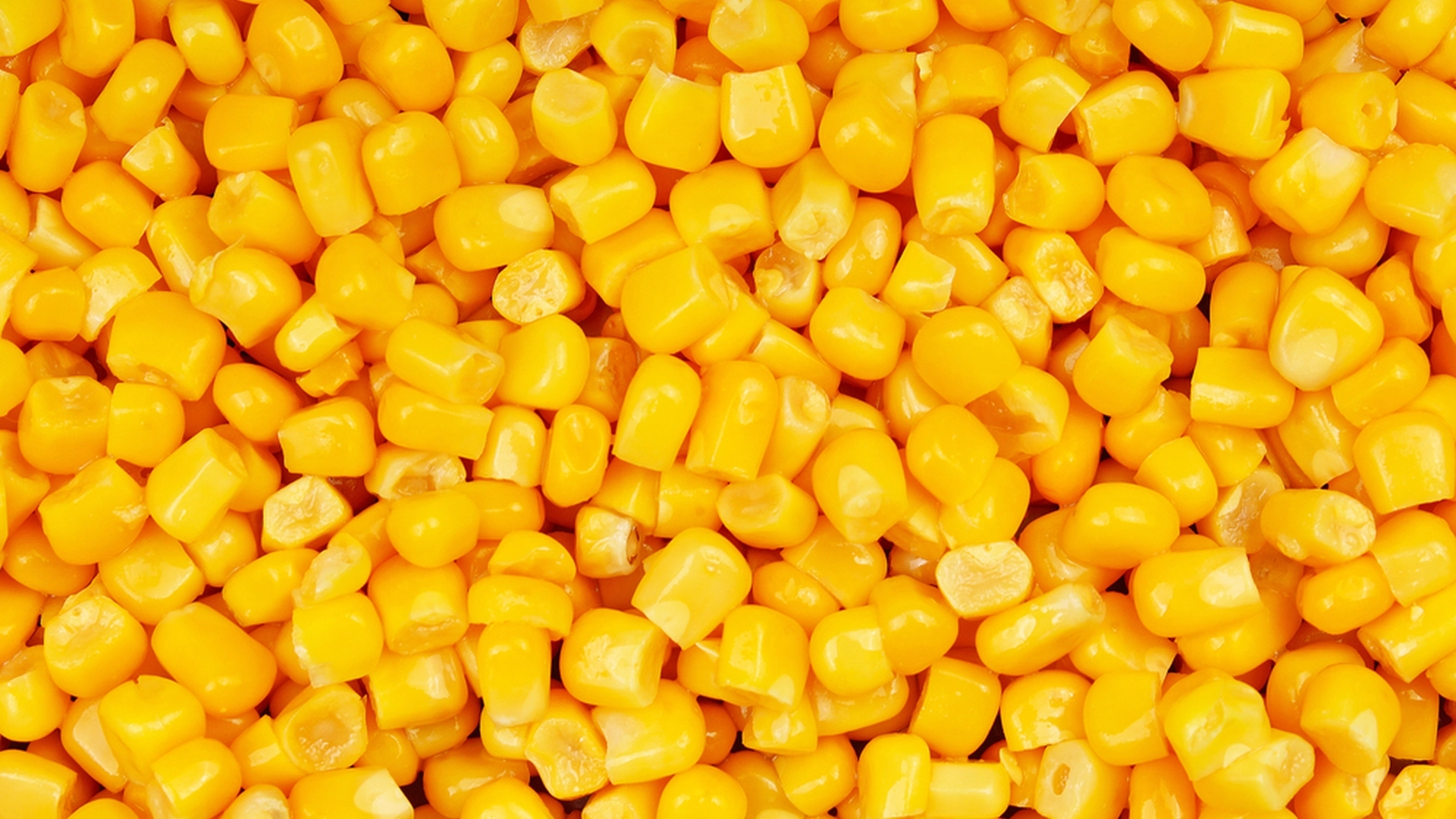 Kokken gjør vanlig hermetisk mais til en gourmetrett med én ingrediens