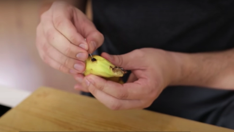 Han stikker hull i en banan: Så se hva som skjer