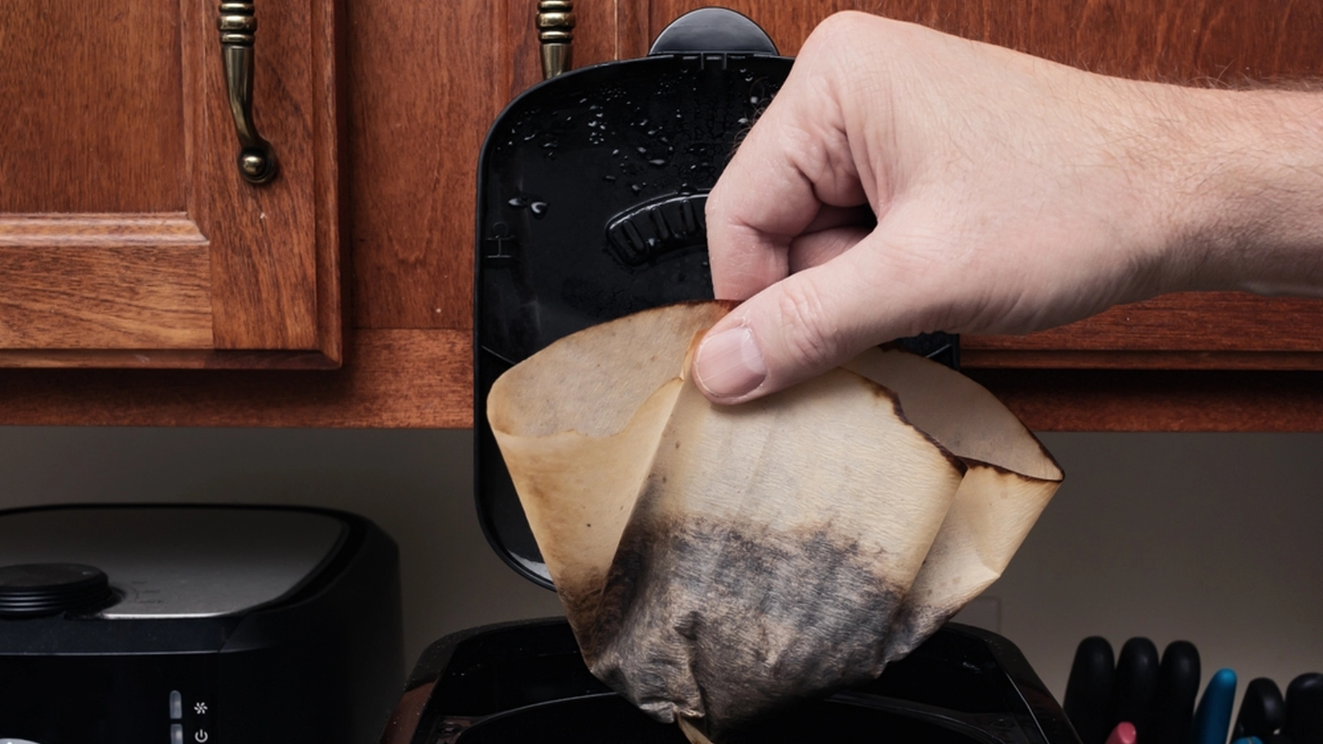 Disse 6 plantene elsker kaffegrut: De vokser raskere, sterkere og vakrere