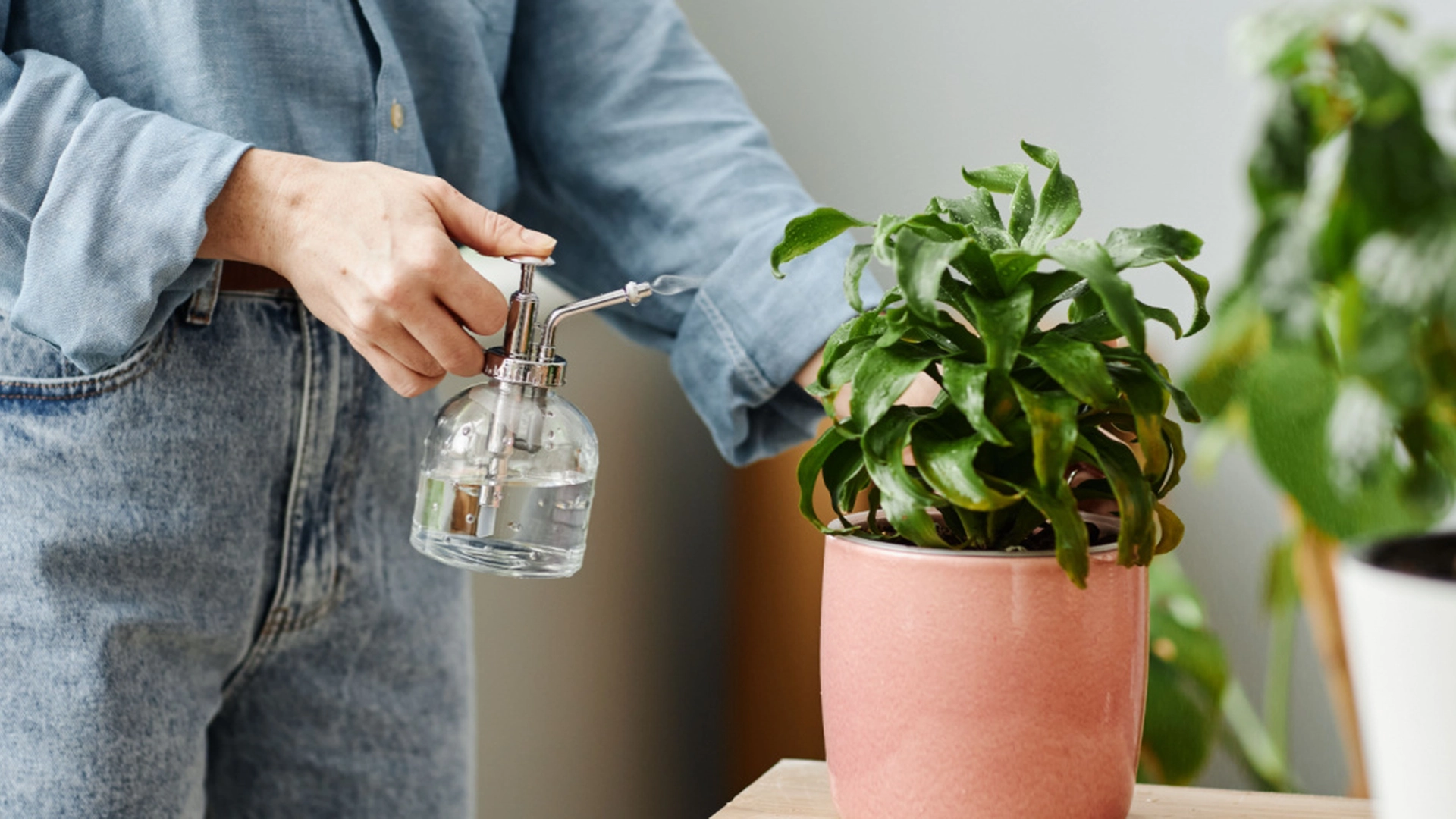 Gjenoppliv dine visne planter med dette trikset