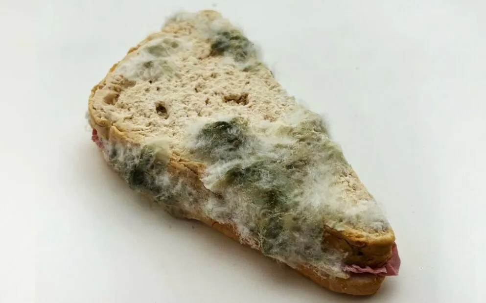 ‘Muggen sandwich’ får internett til å koke: Ser du hvorfor?
