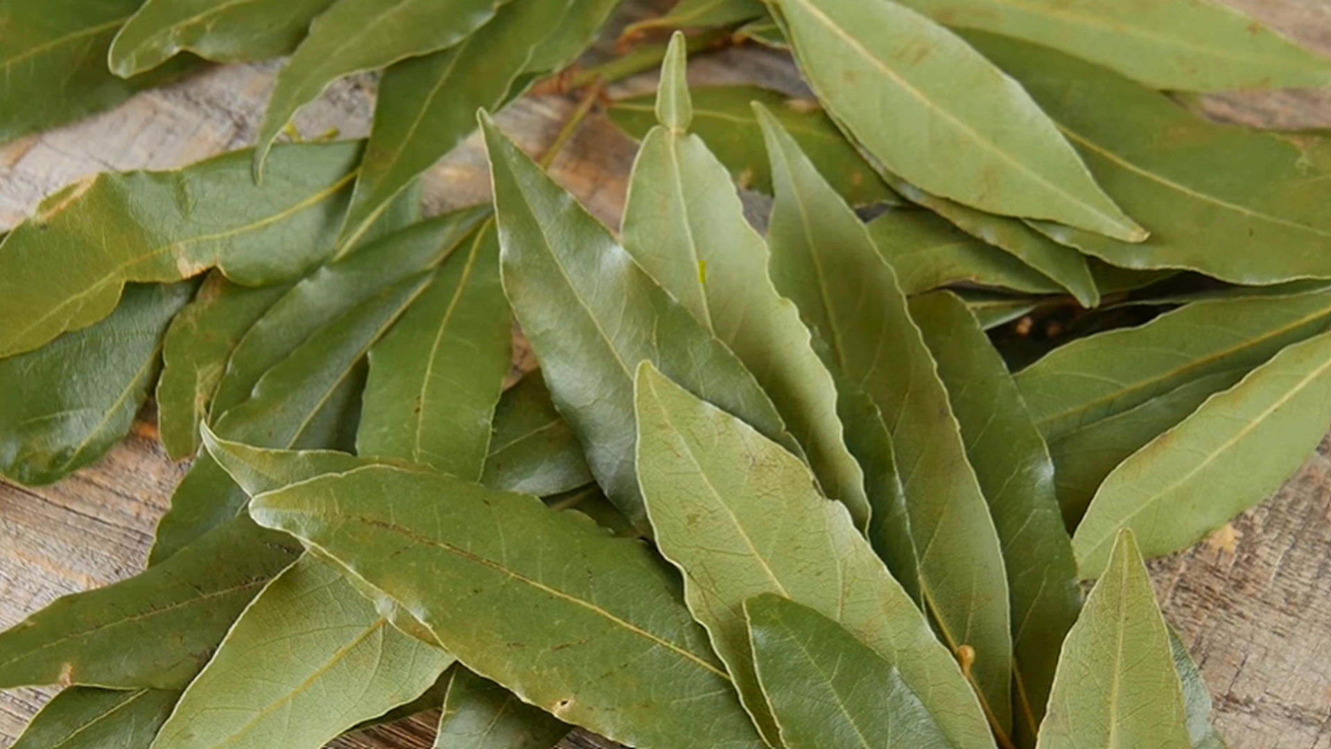 Bruk laurbærblad som en naturlig luftfrisker