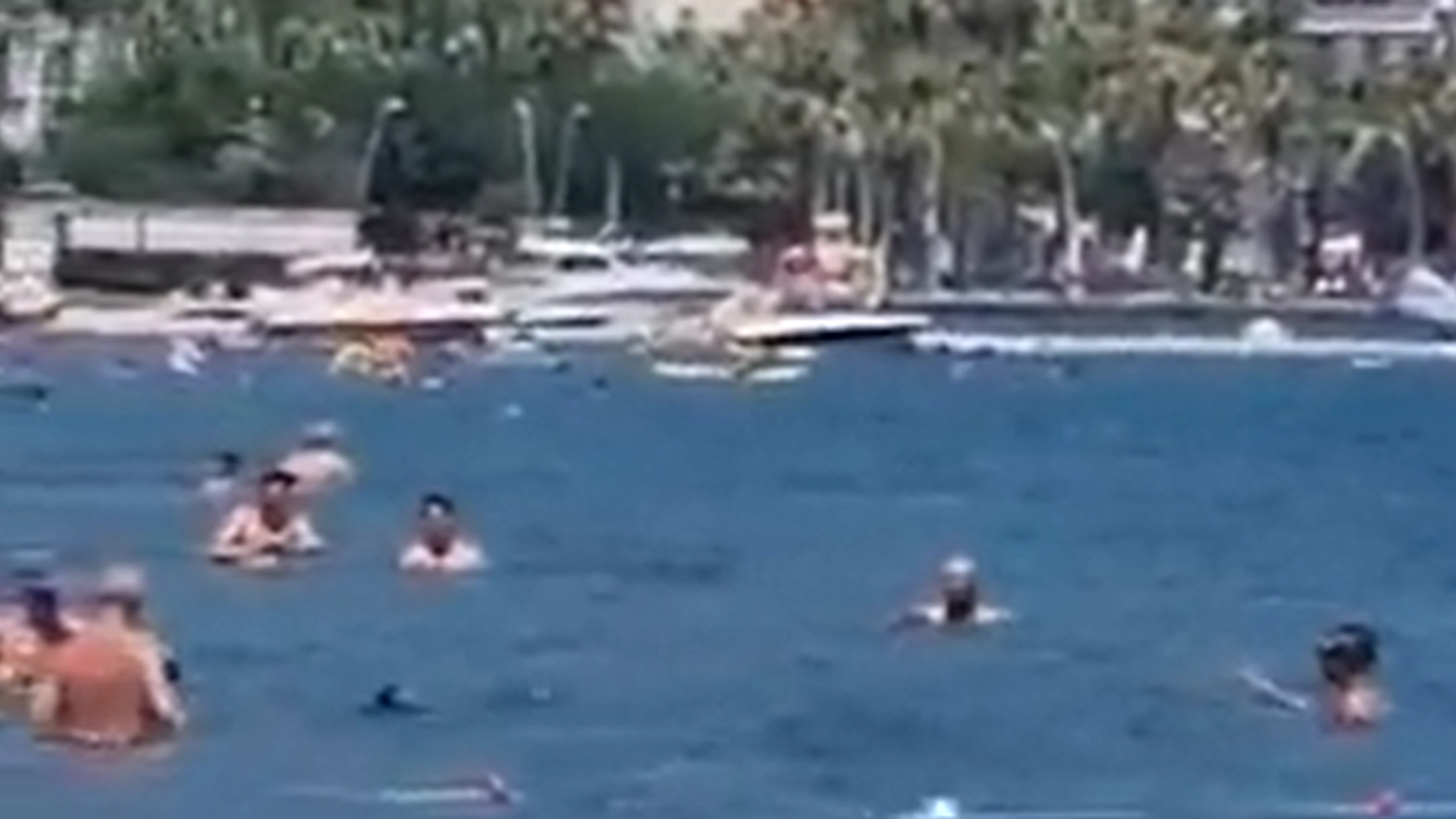 Hai nærmer seg turiststranden i Tyrkia: Så angriper badegjestene den