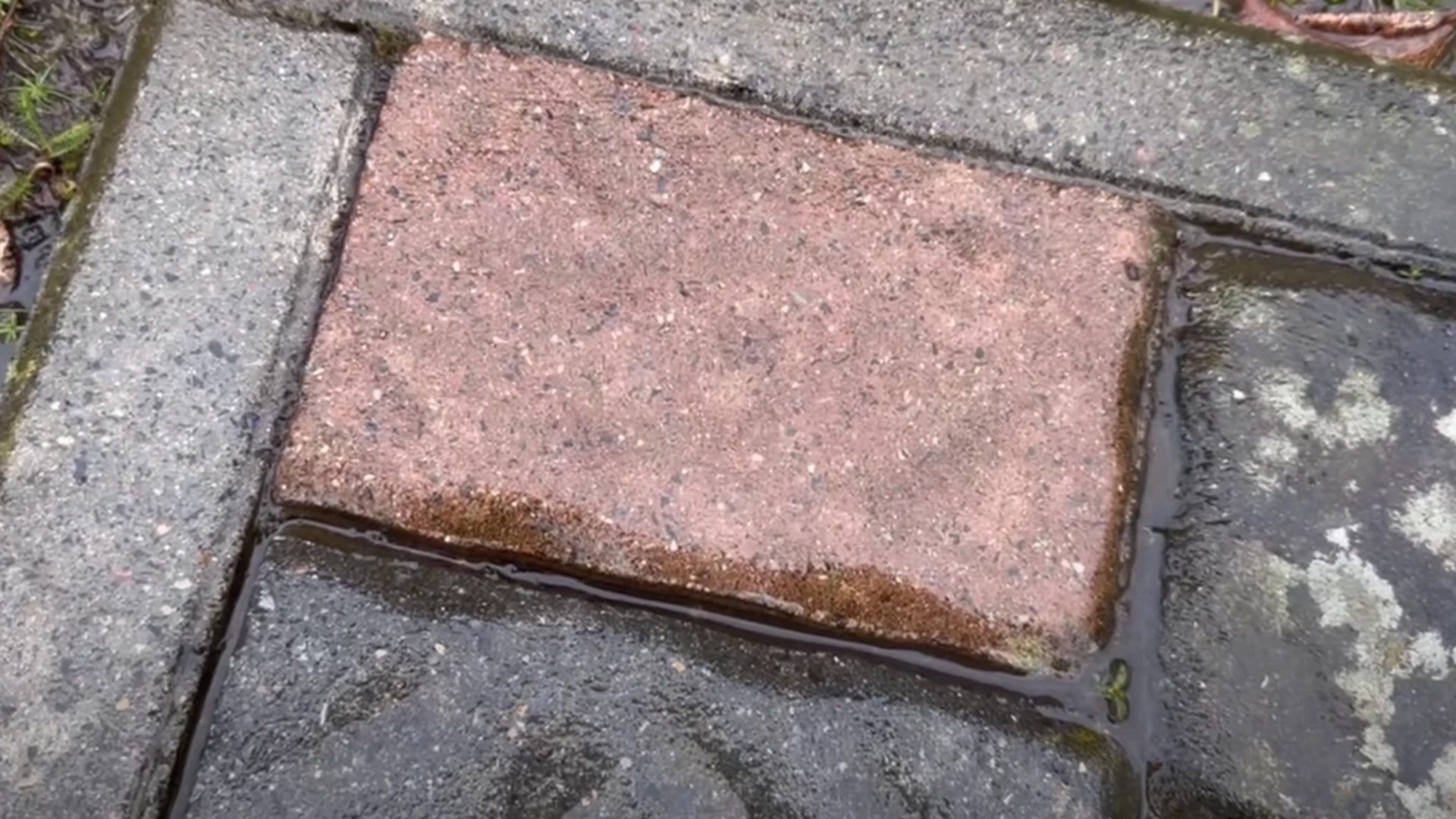 Glem eddik: Gi flisene dine et nytt liv med bare én ingrediens
