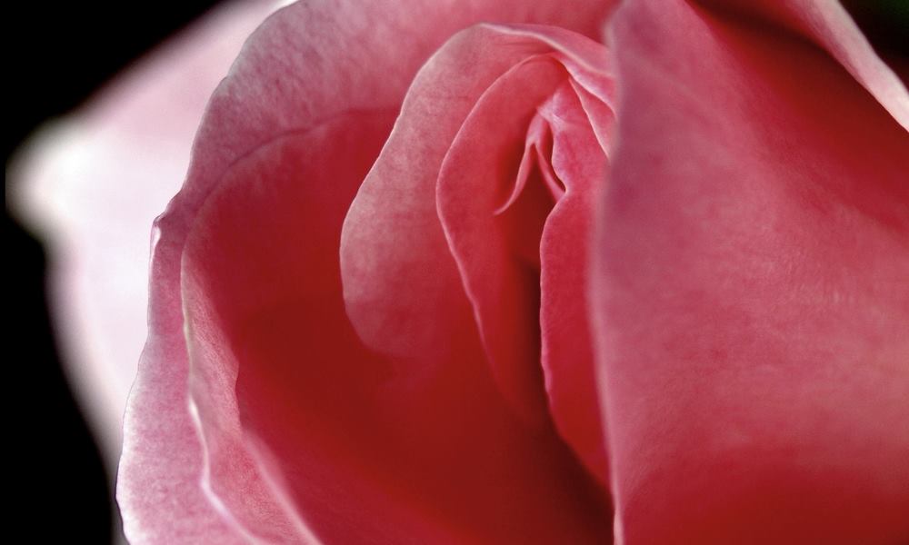 Dette skjer med vaginaen din hvis du ikke drikker nok vann