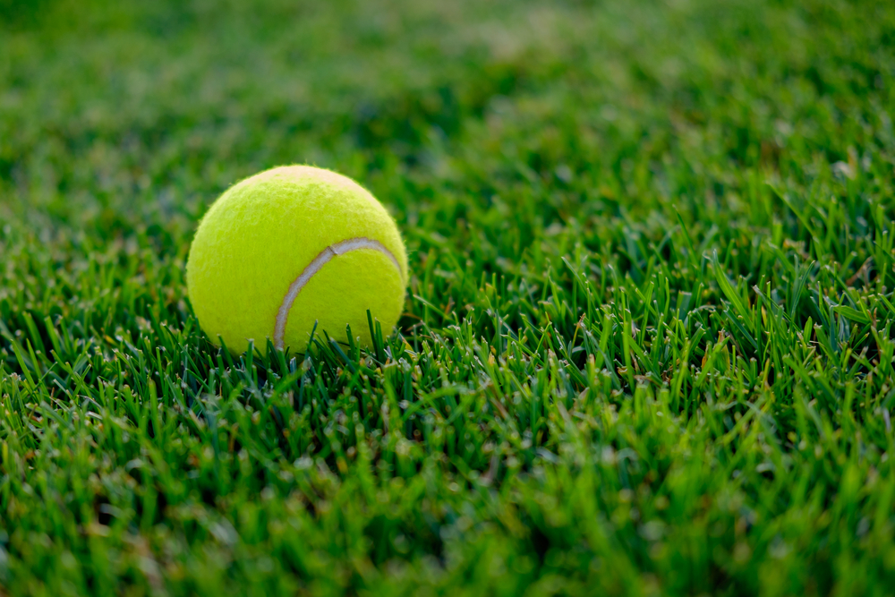 Advarsel: Hvis du finner en tennisball hagen din, IKKE ta den opp!