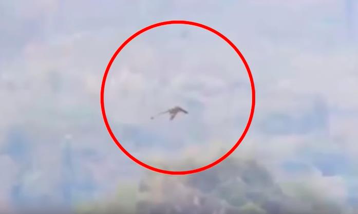 Vanvittig video skaper delte meninger på nettet: Er dette beviset på at det finnes drager?
