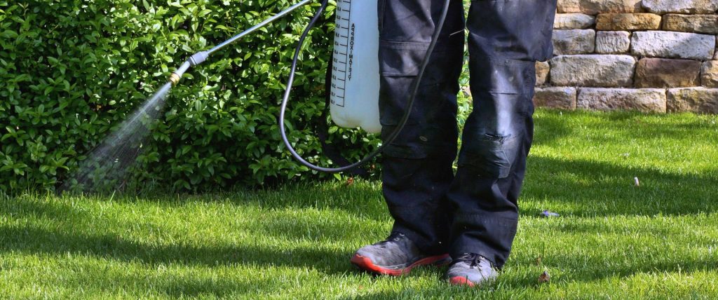 Han blander salt, eddik og en tredje ingrediens – da har ikke ugresset en sjanse