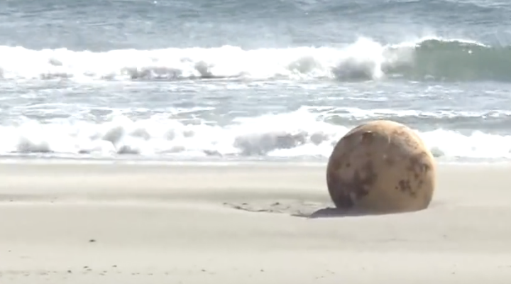 Se videoen: Mystisk gjenstand skylt opp på stranden i Japan