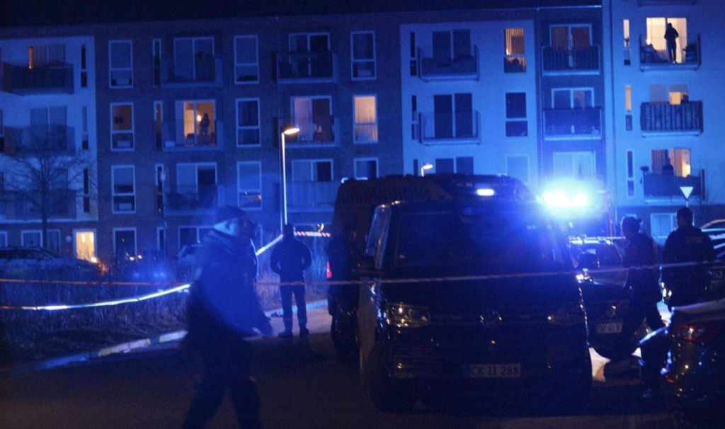 Vitner prøvde førstehjelp: &laquo;Det var bare små gutter&raquo;