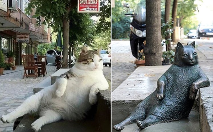 Byens elskede katt hedret med statue på yndlingsplassen sin