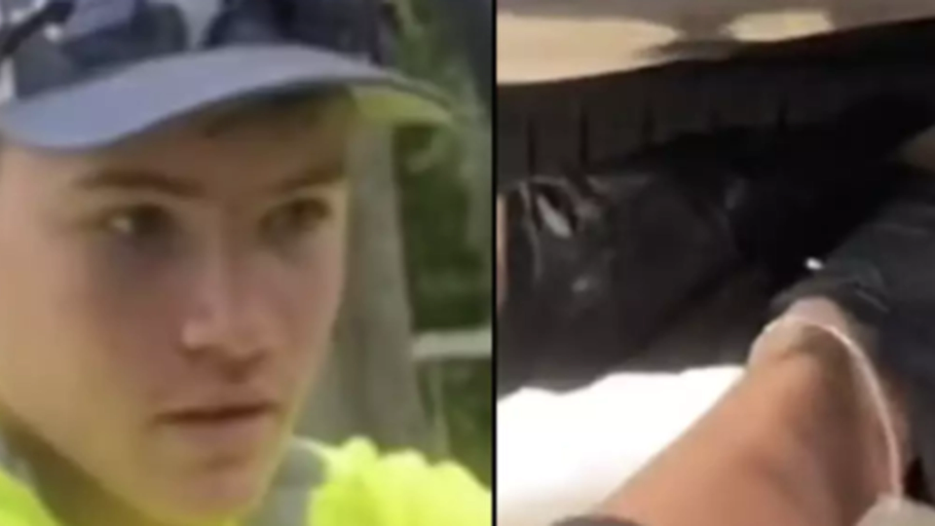 Familie gjorde skremmende funn i bilen: Fikk seg et stort sjokk da de fant ut hva det egentlig var