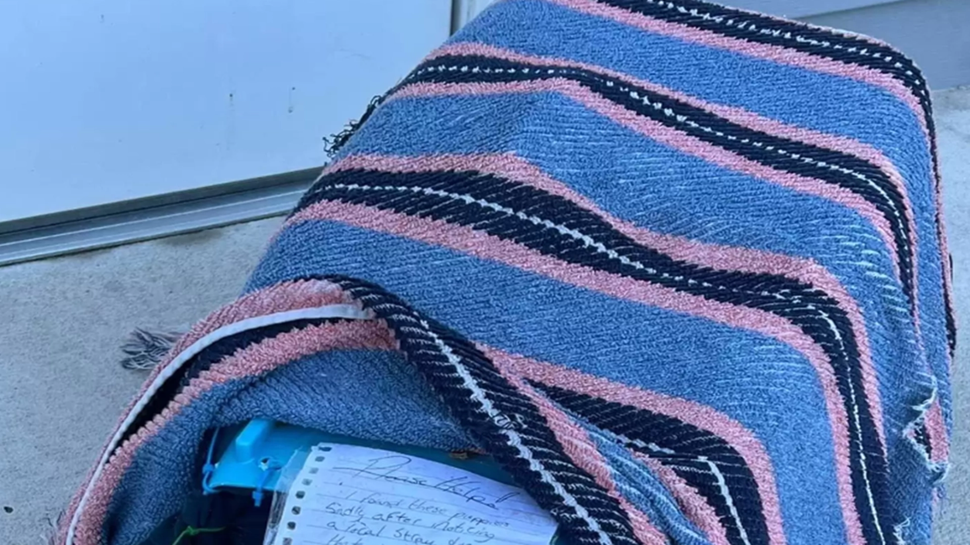 Kvinne fant en boks med en lapp foran jobben hennes: Lappen gir tårer i øynene hennes