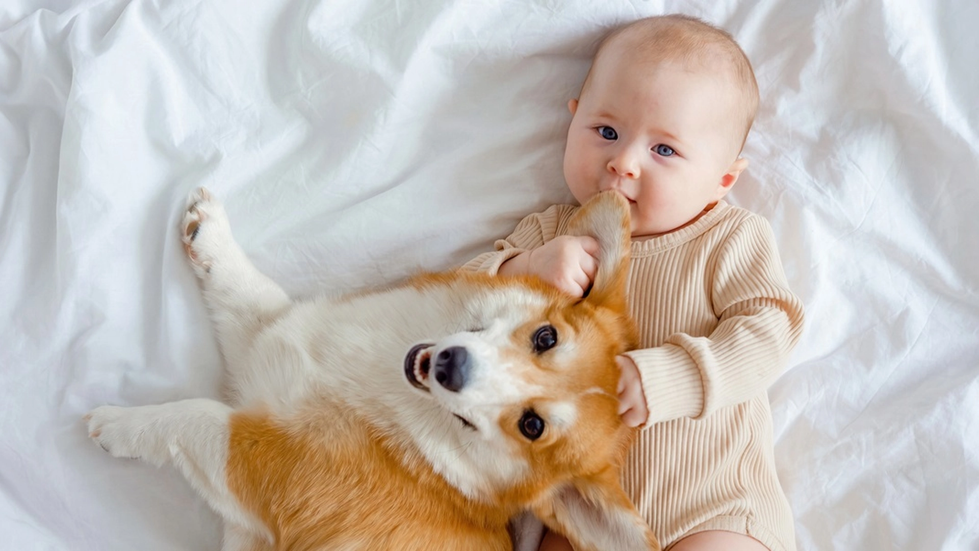 Babys første møte med en hund: Reaksjonen har gått viralt