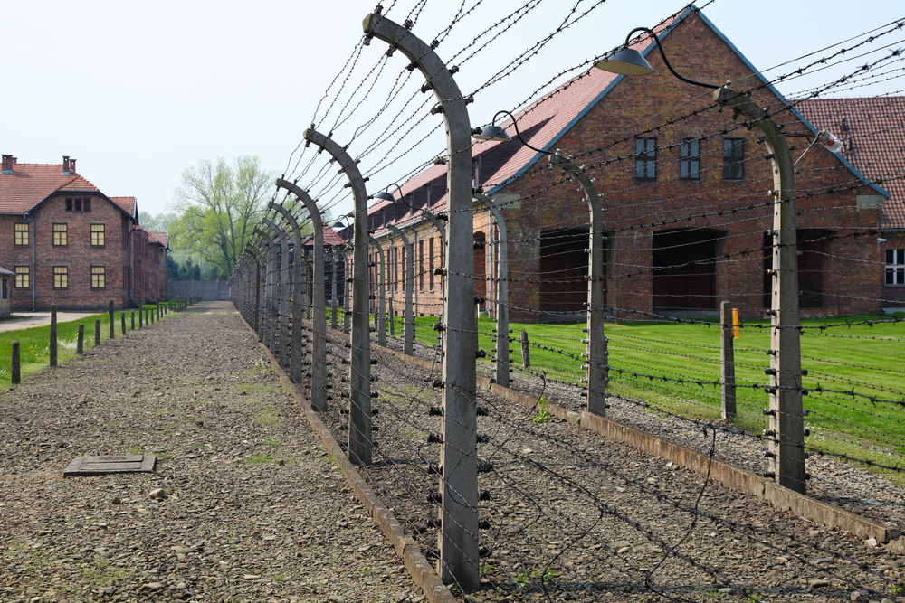 88-årig ‘Nazi-bestemor’ sjokkerer igjen: ‘Det var ingen gasskamre i Auschwitz’