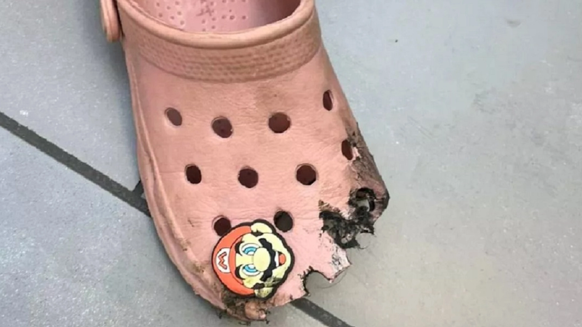 Crocs forårsaket nesten ulykke: Nå advarer Olivia andre