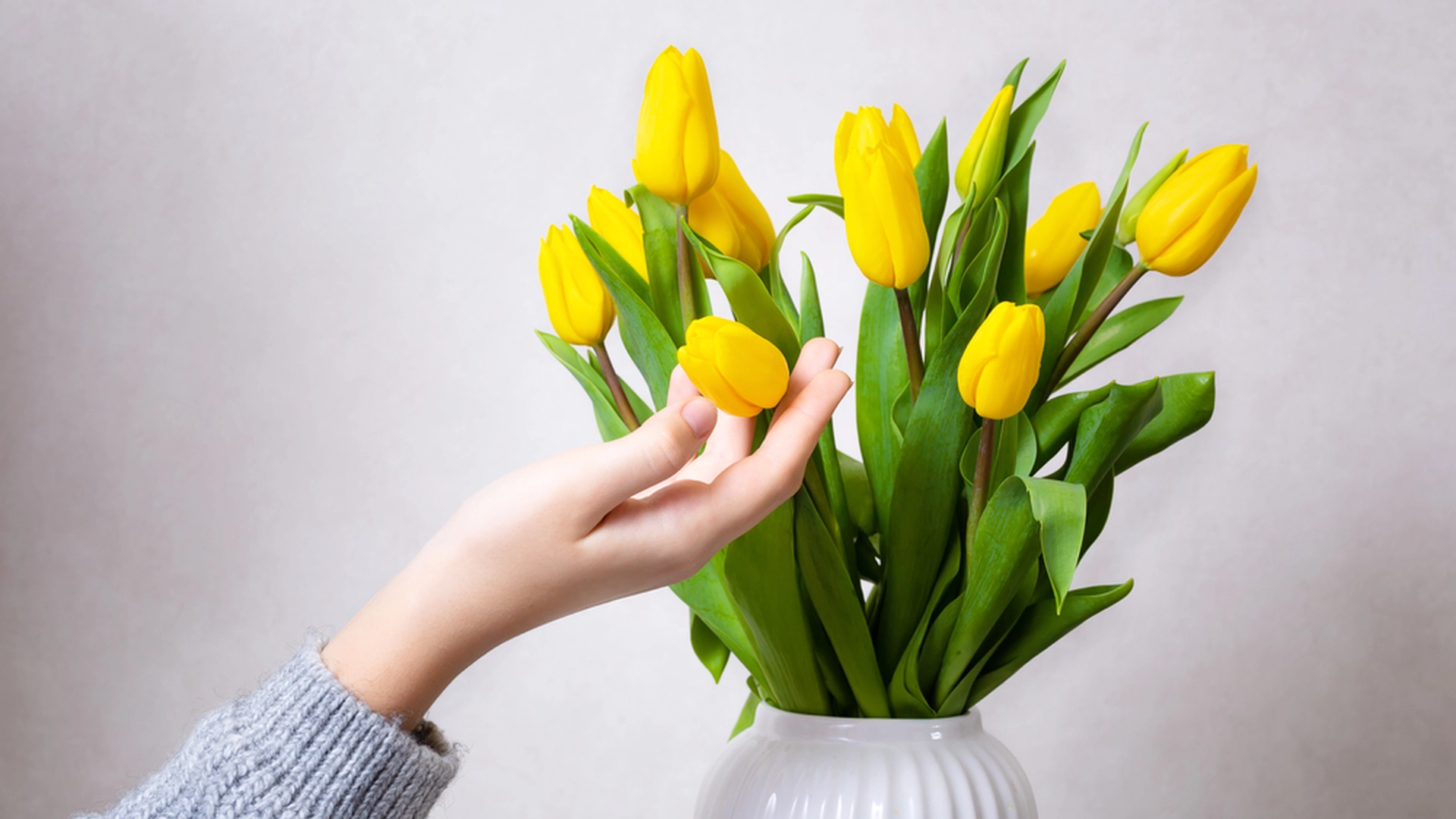 Forleng levetiden til blomstene dine med denne effektive blandingen i vannet