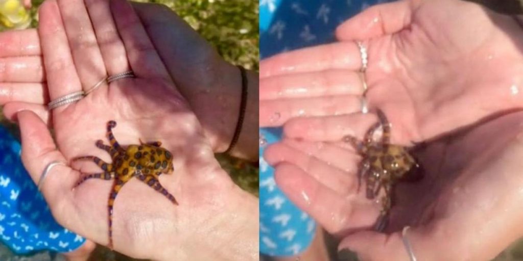 Søtt feriebilde var i ferd med å gå helt galt: Kunne ha kostet livet