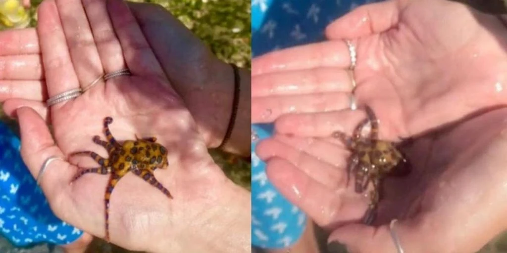 Søtt feriebilde var i ferd med å gå helt galt: Kunne ha kostet livet