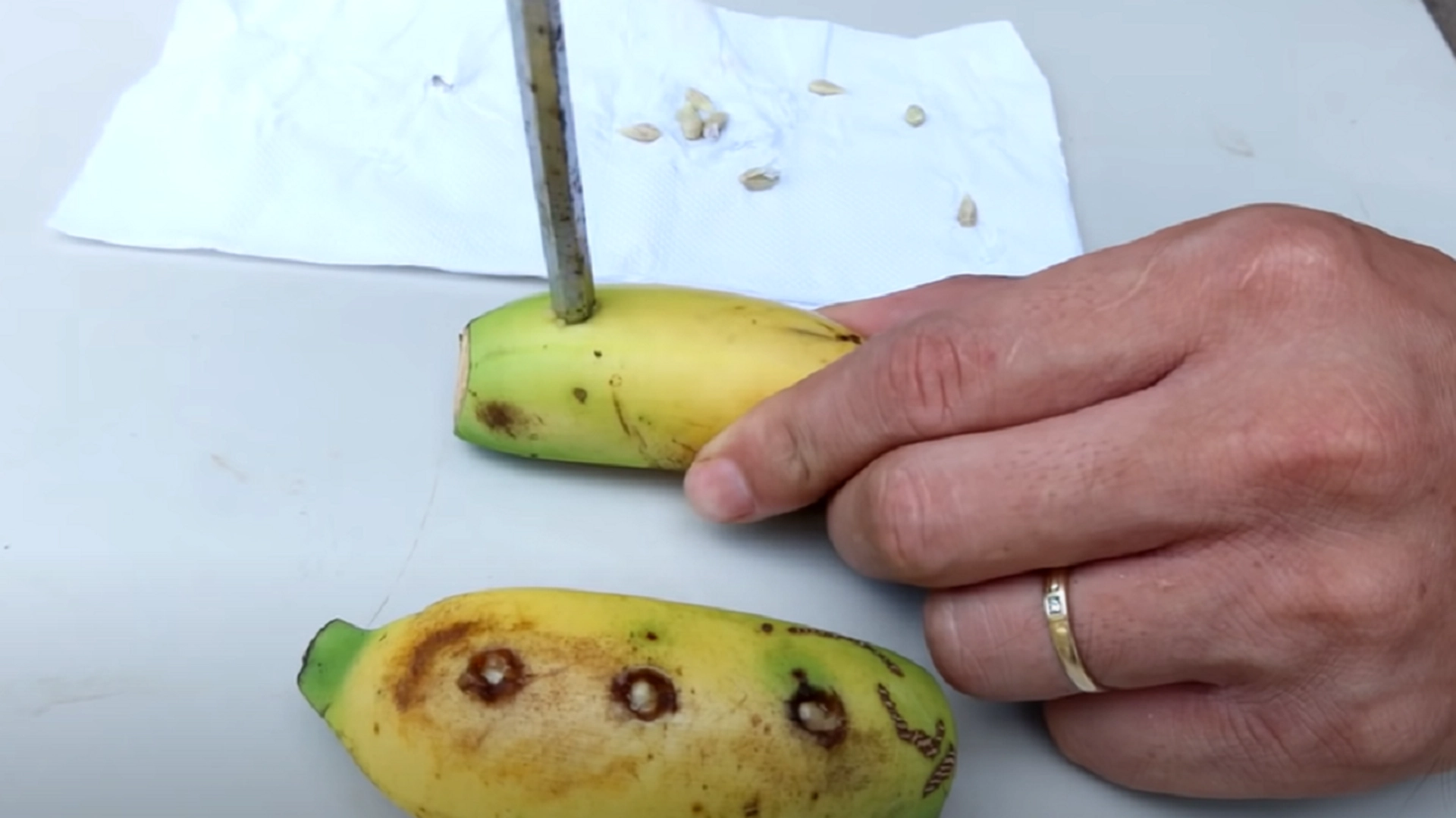 Han legger sitronfrø i bananen sin: Når du ser hva som skjer, vil du gjøre det samme