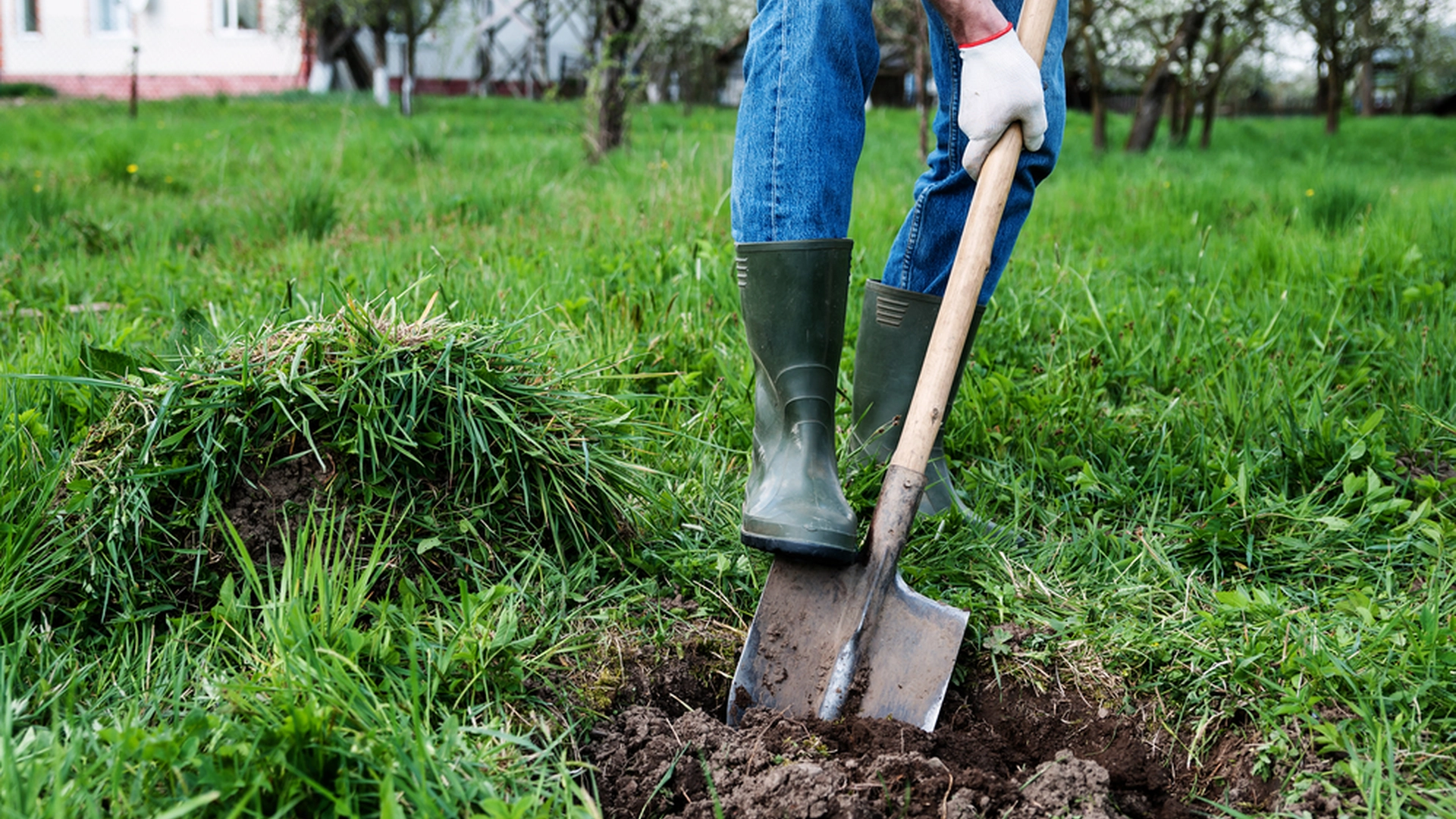 Ekspert med råd til hageeiere: Med disse tipsene får du den beste og fineste plenen