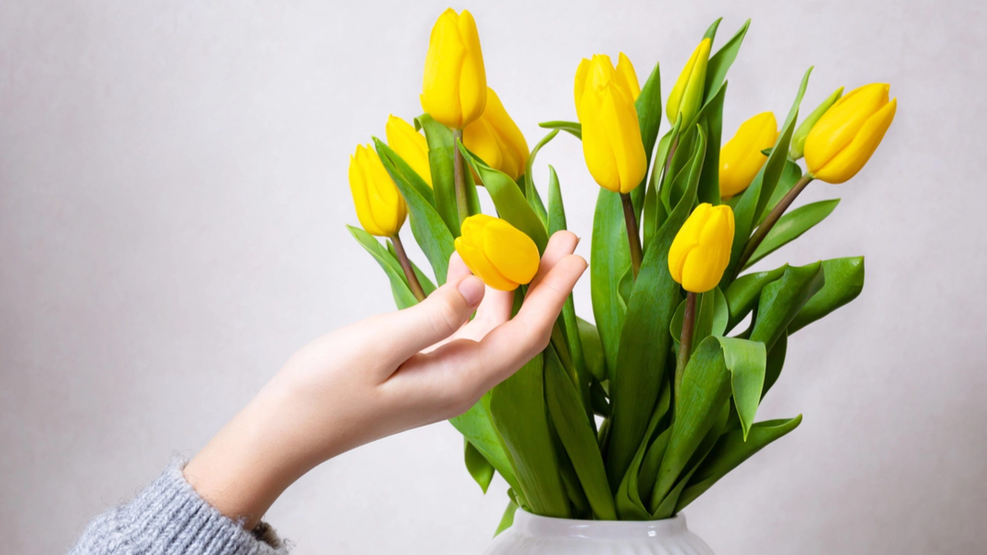 Lei av slappe tulipaner? Dette smarte trikset gir nytt liv til blomsterbuketten