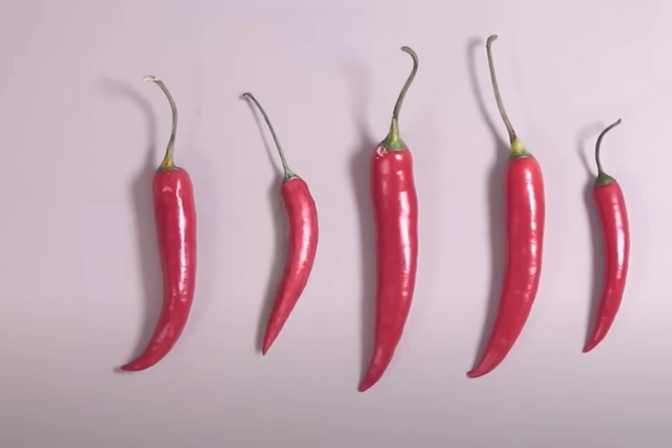 Synstest: Du har falkesyn hvis du kan se hvilken chili som er tegnet