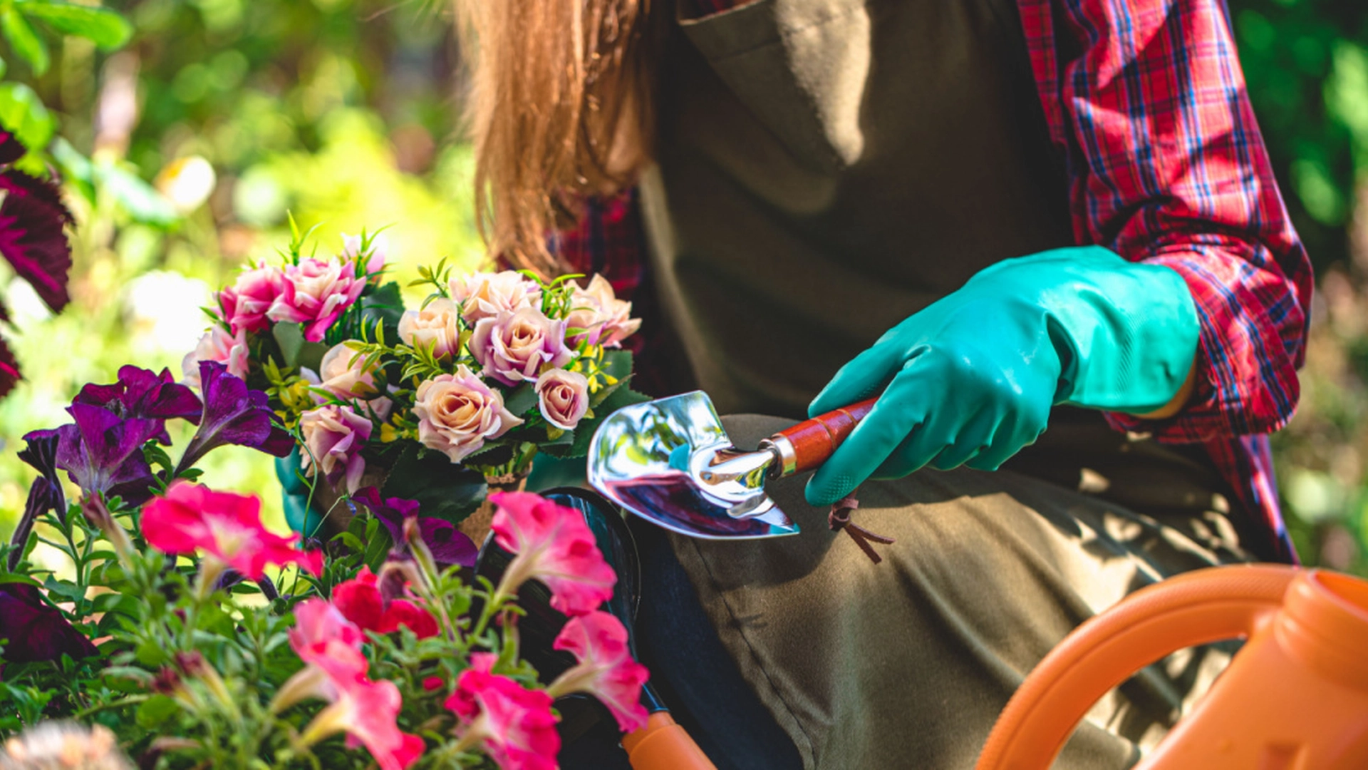 Nesten alle kaster dem ut: Plant dem i hagen og blomstene dine vil få en intens farge