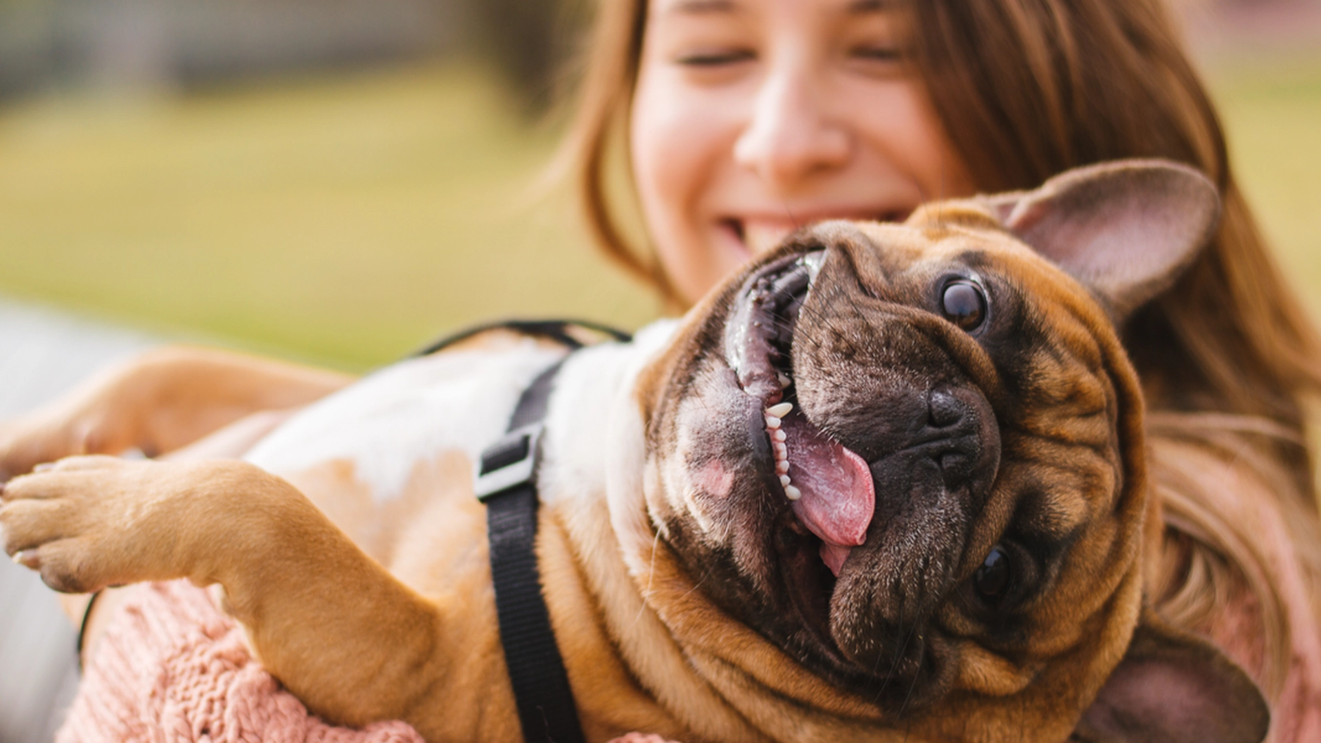 Alt hundeeiere vil vite: Her er tegnene på at hunden din elsker deg