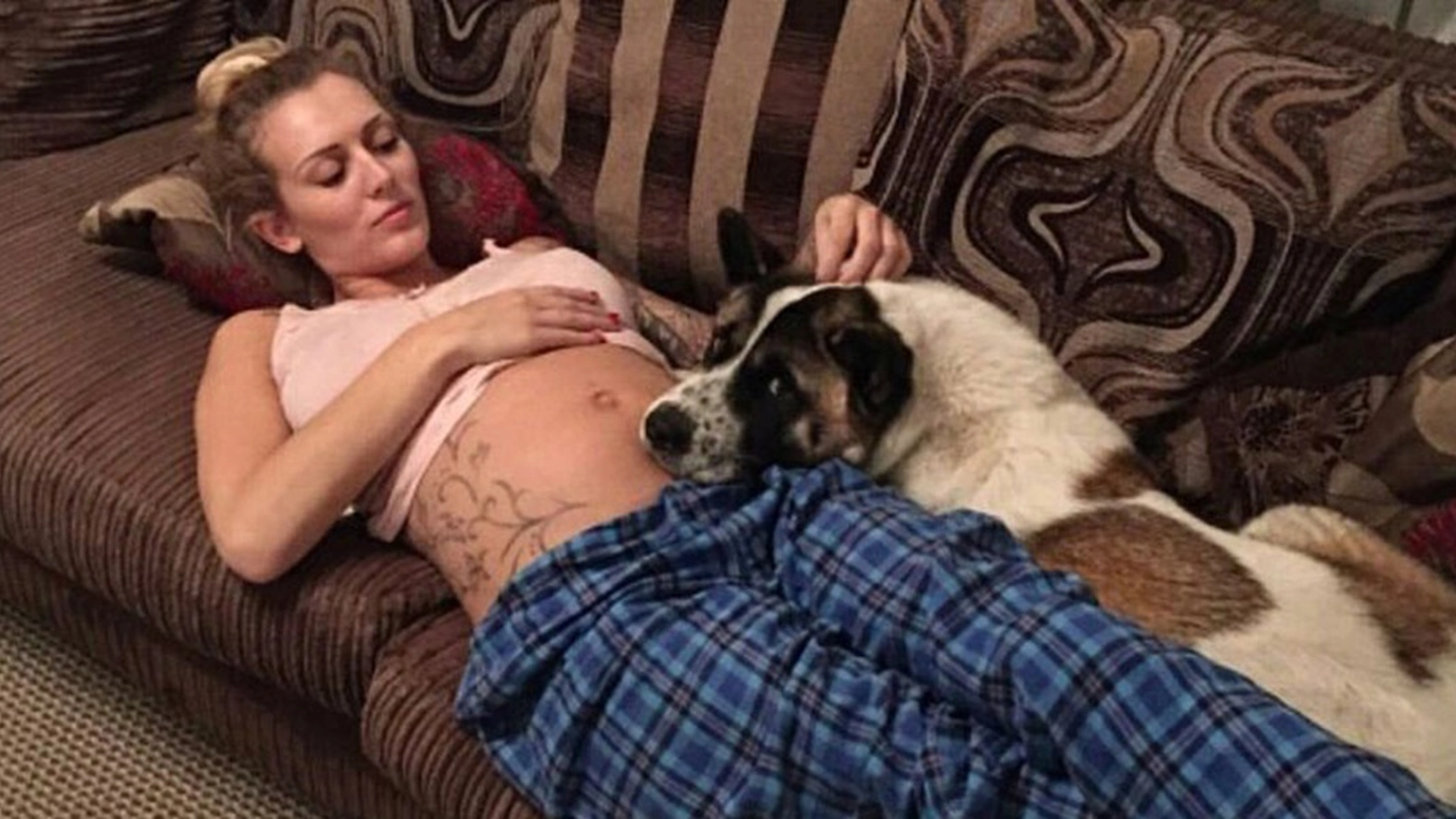 Hunden begynte å oppføre seg rart: Når eieren finner ut hvorfor, blir hun dypt sjokkert