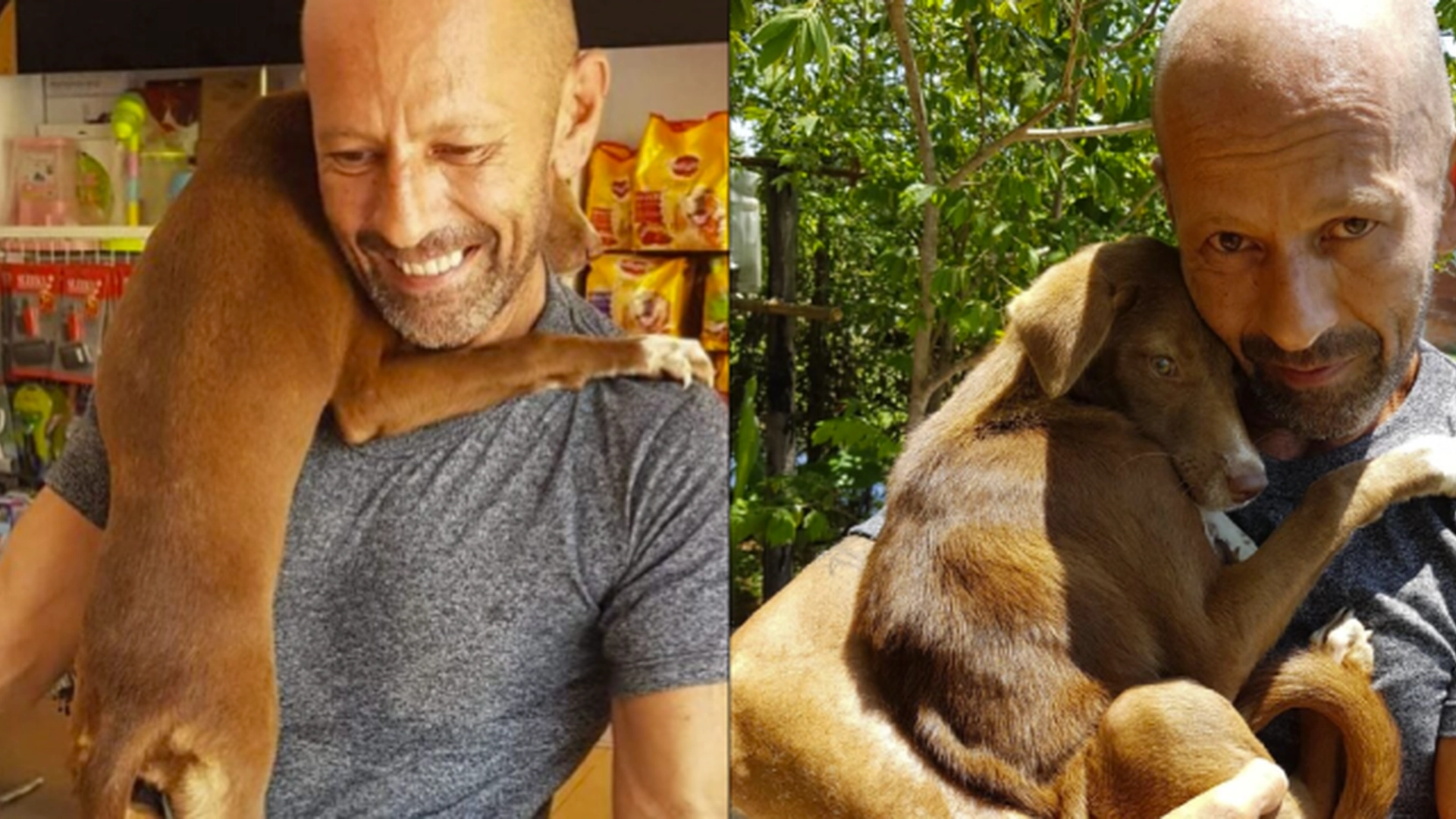 Michael reddet en skremt hund fra dens forferdelige skjebne: Hunden vil deretter ikke gi slipp